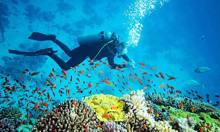 Diving in Sri Lanka
