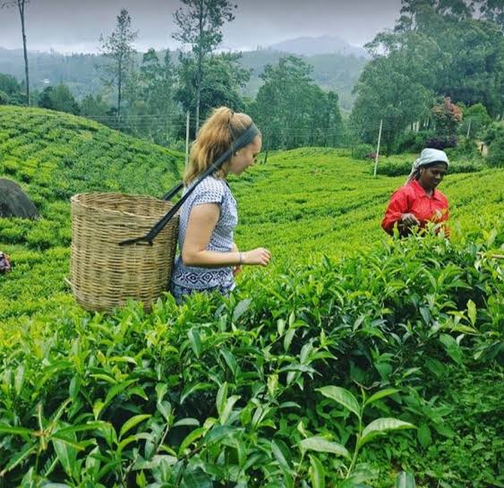 Spice garden tour