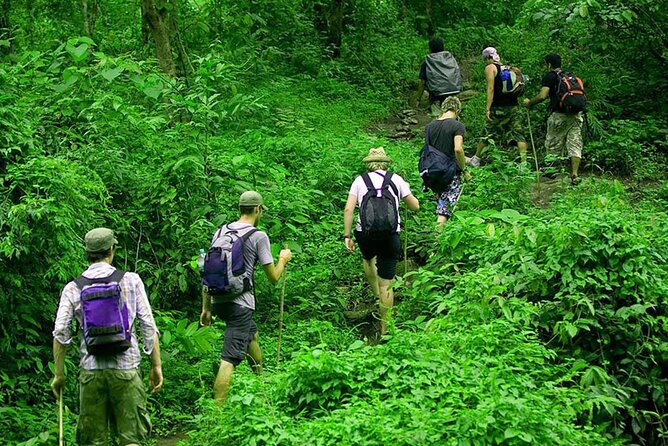 Sigiriya Rock Fortress panoramic view