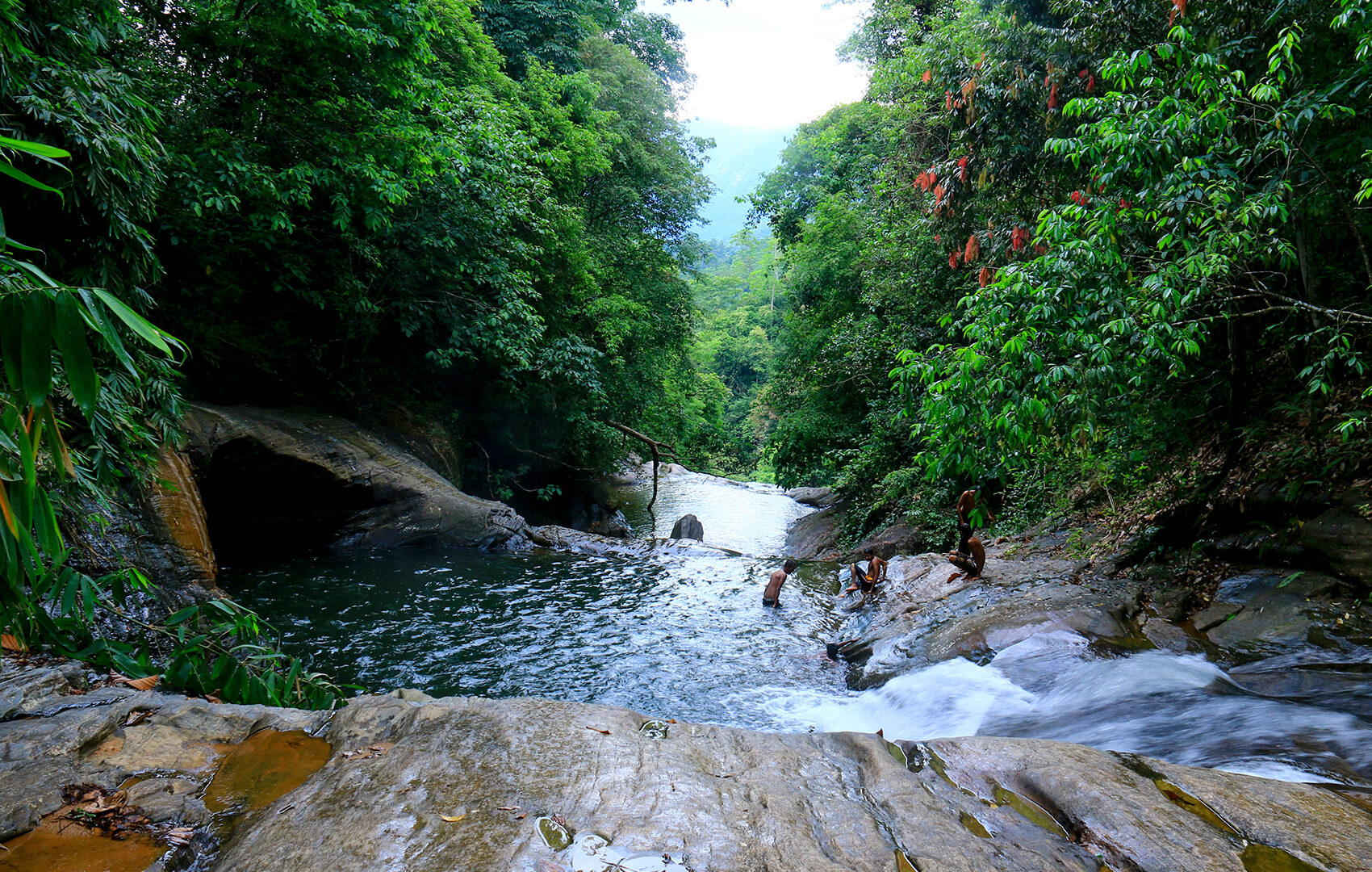 The Lion's Paws entrance