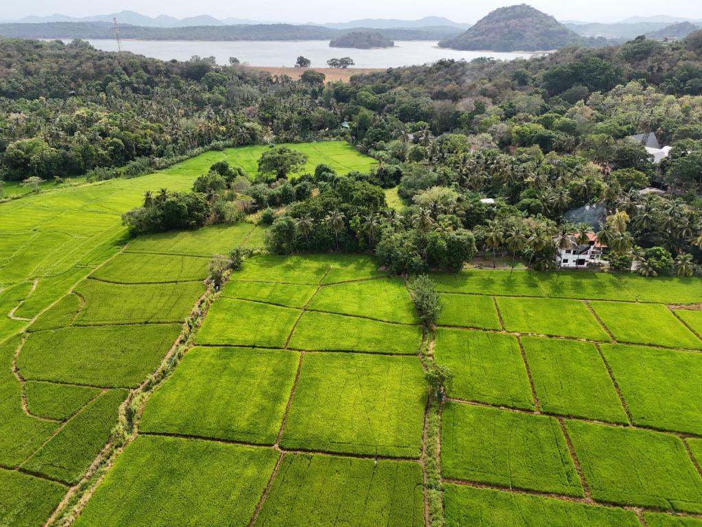 Sigiriya Rock Fortress panoramic view