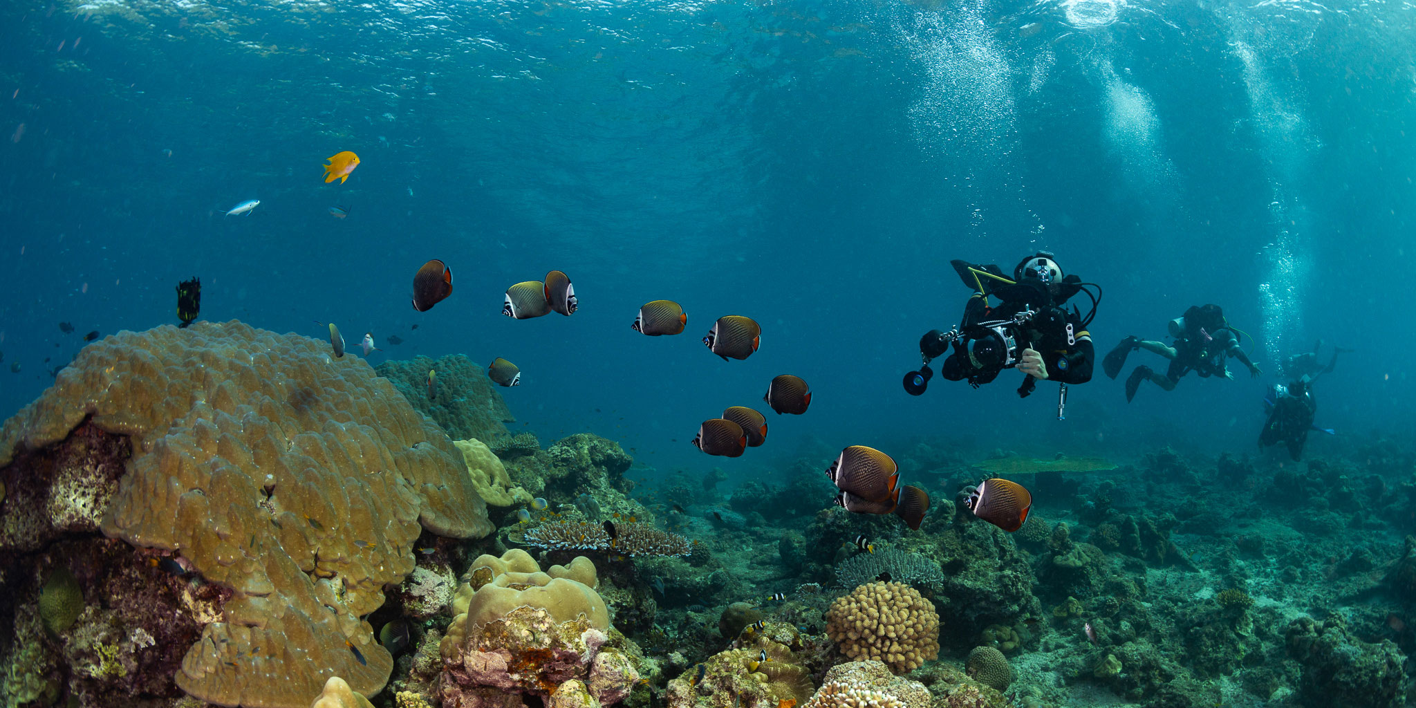Diving & Snorkeling