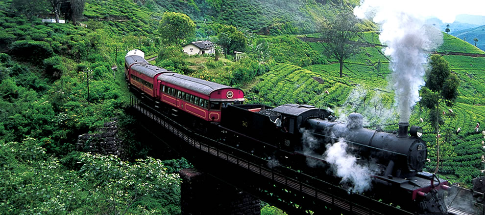 Scenic Train Ride