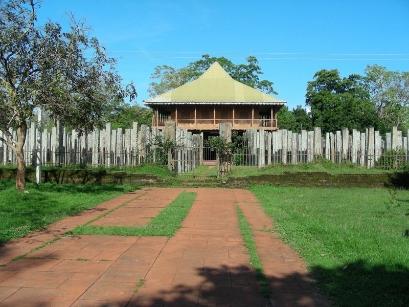 Tea plantation