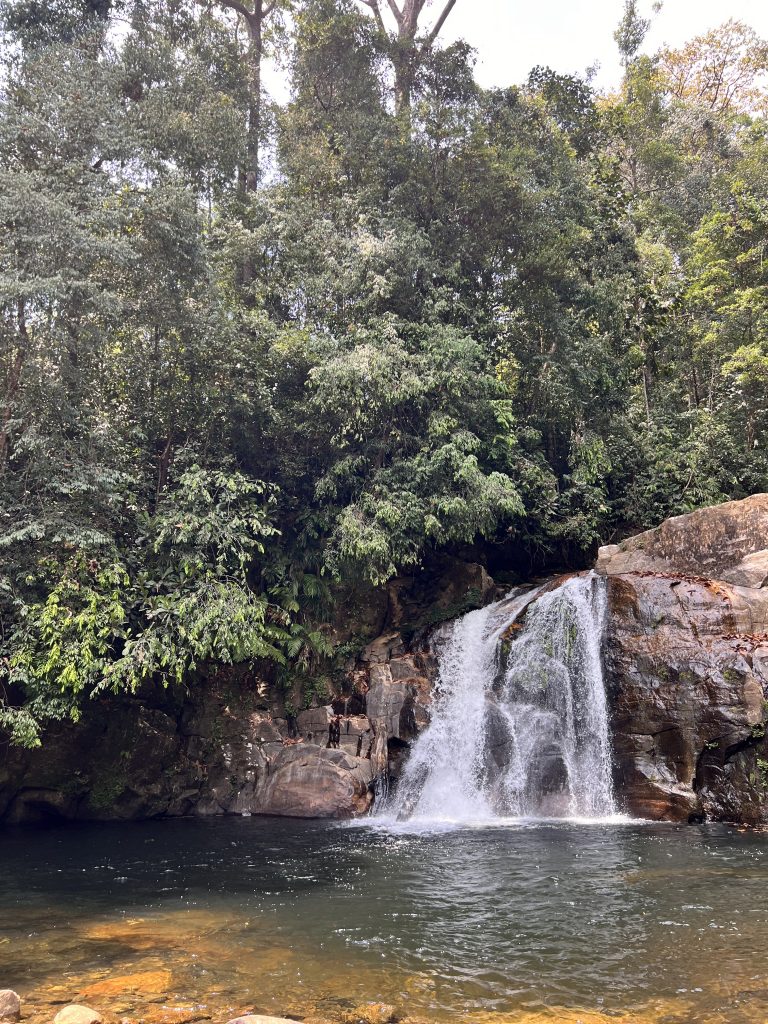 jungle waterfall