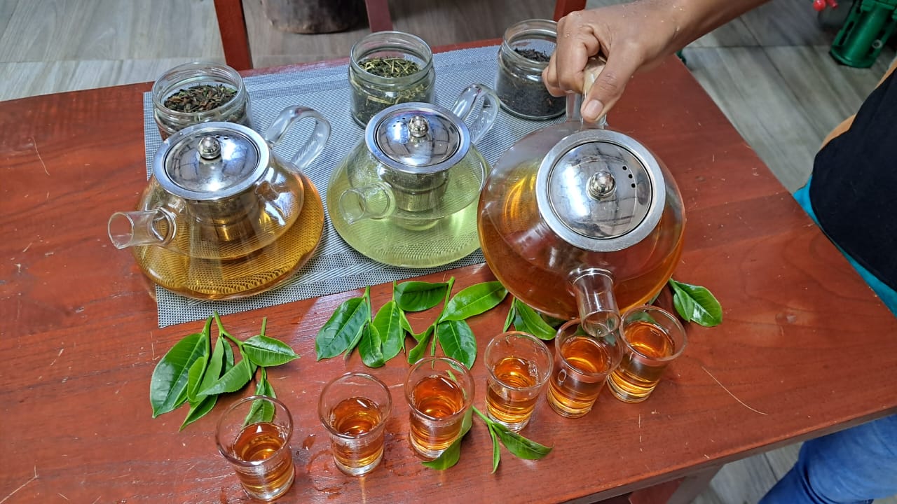 Tea tasting