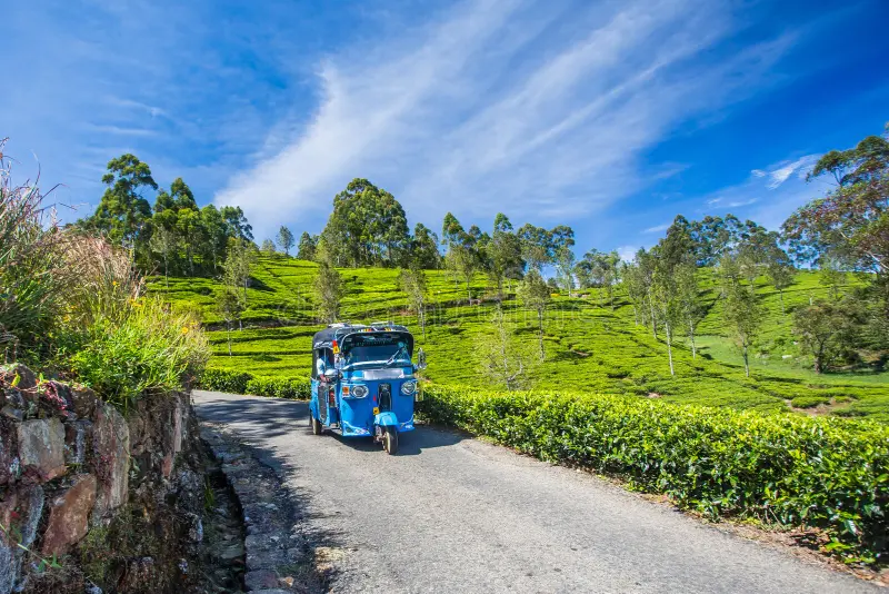Tuk tuk ride