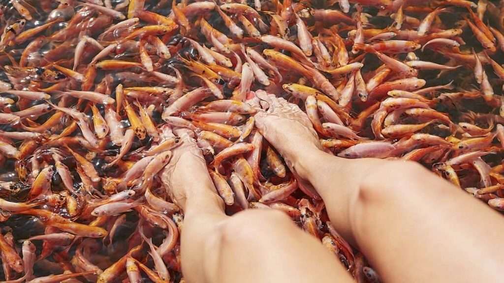 Hikkaduwa Lagoon Camping Day Tour